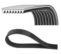 DAYCO 8PK2465 Courroie Poly-V