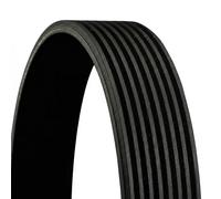 CONTITECH 8PK2523 Courroie Poly-V