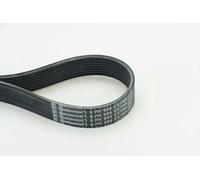 Courroie trapézoïdale à nervures CONTITECH 8PK954 EXTRA