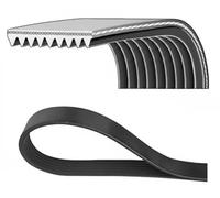 DAYCO 9PK1610HD Courroie Poly-V
