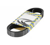 SNR CA5PK1850 Courroie Poly-V