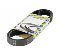 SNR CA5SPK898 Courroie Poly-V