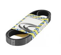 Courroie multi-cannelée CA7PK1601 SNR pour RENAULT DACIA NISSAN