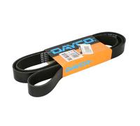 DAYCO 8PK1925HD Courroie Poly-V
