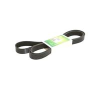 Courroie multi-cannelée DAY8PK2465AGRI DAYCO