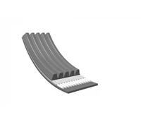 Courroie multi-cannelée EPDM (éthylène-propylène-diène-caoutchouc) 050 005 2020