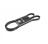 MEYLE 050 006 1743 Courroie Poly-V