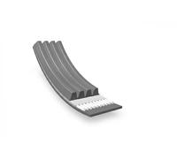 MEYLE Courroie Poly-V 050 006 2275 EPDM multi-cannelée pour Mazda Tribute, Ford Maverick