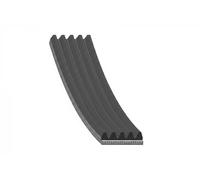 Courroie multi-cannelée EPDM (éthylène-propylène-diène-caoutchouc) 10 94 0324