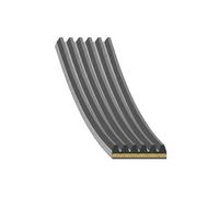FEBI BILSTEIN 181283 Courroie Poly-V