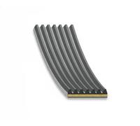 FEBI BILSTEIN 184933 Courroie Poly-V