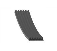 Courroie multi-cannelée EPDM (éthylène-propylène-diène-caoutchouc) 34487 pour VW