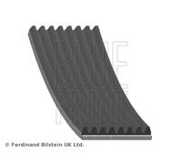 Courroie multi-cannelée EPDM (éthylène-propylène-diène-caoutchouc) AD08R1295