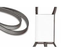 Courroie multi-cannelée FB 6PK1165 INA pour RENAULT FIAT CITROËN PEUGEOT LANCIA