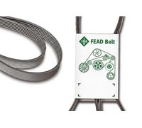 Courroie multi-cannelée FB 6PK2193 INA pour MERCEDES-BENZ MAZDA