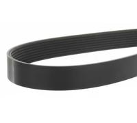 SKF VKMV 8PK1122 R Courroie Poly-V
