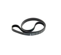 Courroie 1195 H8 (288141-22279) Lave-linge (C00082318 INDESIT ARISTON HOTPOINT WHIRLPOOL)
