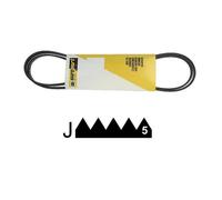 Courroie Poly-V 1264 J5 Mael