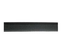 Courroie Poly V 1970 H8 Pour Seche Linge Proline - 416004400 G
