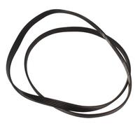 Courroie Poly V Élastique 1225 J5 El Laver Candy Original 41039460