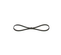 Courroie Poly-V pour Honda Nissan Toyota Accord Almera Cabstar City Civic Corol