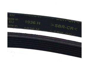 Courroie poly V type 1936 H6 ou 1936H6 adaptable pour AWZ650 et AWZ650/1