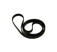 Beko Courroie pour lave-linge 9851717 G