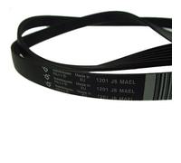 Courroie pour lave-linge - Indesit - 1201J6EL/1198J6 - Élastique - Pièce d'origine