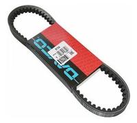 Courroie de transmission DAYCO 8134