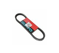 Courroie de transmission DAYCO 8134