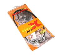 courroie scoot malossi special belt pour honda 50 sh 2t-mbk 51 grande plage (853x15x8x32°)