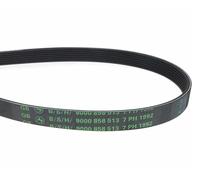 Courroie sèche 7PH 1992 900 858 513