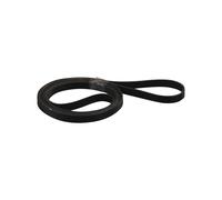 Courroie Sèche-linge 1904 PH7 E Comme Whirlpool 481935818156 Indesit C00378055