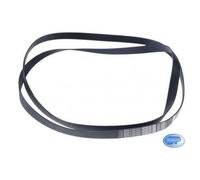 Courroie Sèche-Linge Candy Hoover Originale 40012518