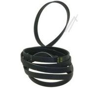 Courroie sl pour seche linge continental edison G