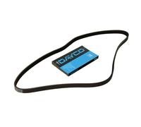 Courroie à nervures trapézoïdales DAYCO 4PK1560