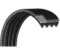 Courroie Striée 560PJ4 dents Extensible Extonic 4EPJ560 / 560EPJ4 / 4PJ560 pour bétonnière