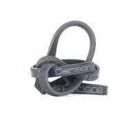 COURROIE STRIÉE MULTIPLE 6DPK1698