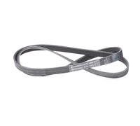 Courroie trapézoïdale à nervures CONTINENTAL 6PK1460