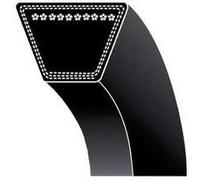 Courroie tondeuse CASTEL GARDEN 35064150/0