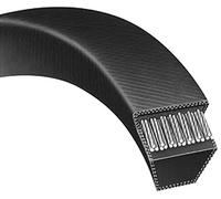 Courroie tondeuse Z29 Trapézoïdale 10 mm x 774 mm