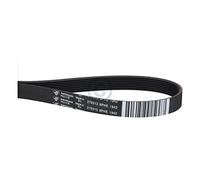 Courroie trapézoïdale 1942PH8E HUTCHINSON compatible avec Gorenje 270313 pour sèche-linge