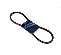 Courroie trapézoïdale 76,7/81,7 cm compatible avec McCulloch M125-94FH Partner P11-C94 / 589 53 12-01