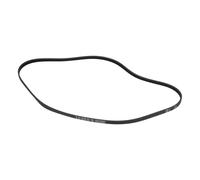Courroie trapézoïdale à nervures 1239pj5e Compatible avec Midea 12638100000251