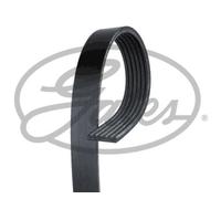 Courroie trapézoïdale à nervures 6PK2253 GATES pour MERCEDES-BENZ JEEP MAZDA