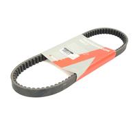 Courroie trapézoïdale à nervures ATHENA S41PLAT082