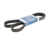 courroie trapézoïdale dentée