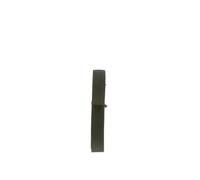 Bosch Courroie multi-cannelée 1 987 947 066 pour Mercedes‑Benz, Scania, DAF