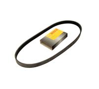 Bosch 1 987 948 342 Courroie poly, Grise