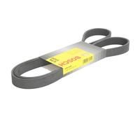 Bosch Courroie trapézoïdale à nervures 1 987 948 425